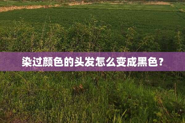 染过颜色的头发怎么变成黑色？