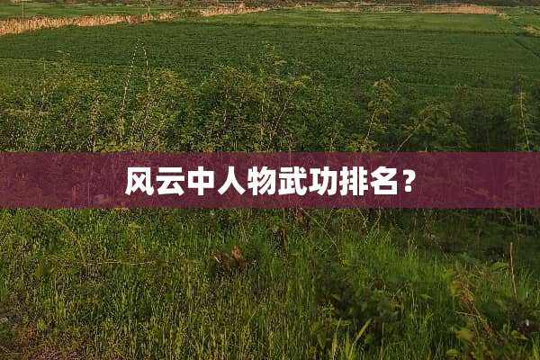 风云中人物武功排名？