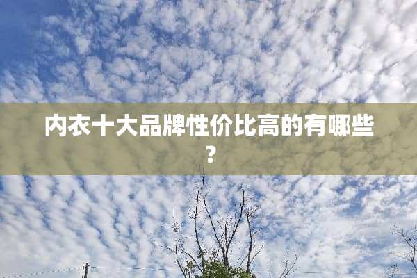 **十大品牌性价比高的有哪些？
