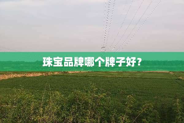珠宝品牌哪个牌子好？
