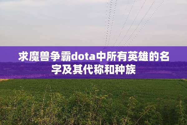 求魔兽争霸dota中所有英雄的名字及其代称和种族
