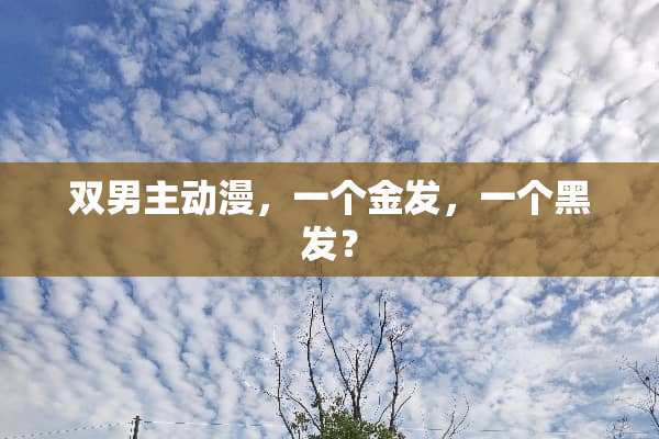 双男主动漫，一个金发，一个黑发？