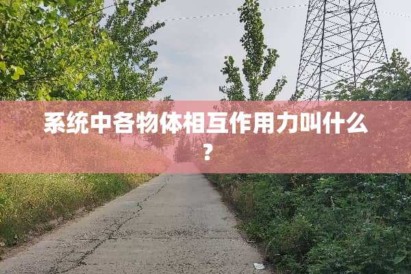 系统中各物体相互作用力叫什么？
