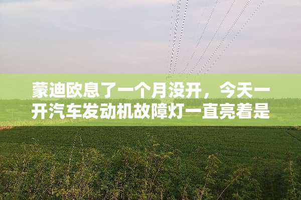 蒙迪欧息了一个月没开，今天一开汽车发动机故障灯一直亮着是什么原因？