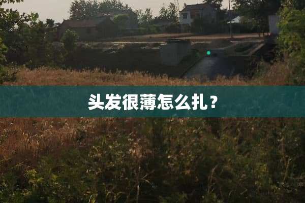 头发很薄怎么扎？