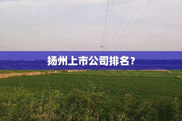 扬州上市公司排名？