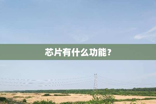 芯片有什么功能？