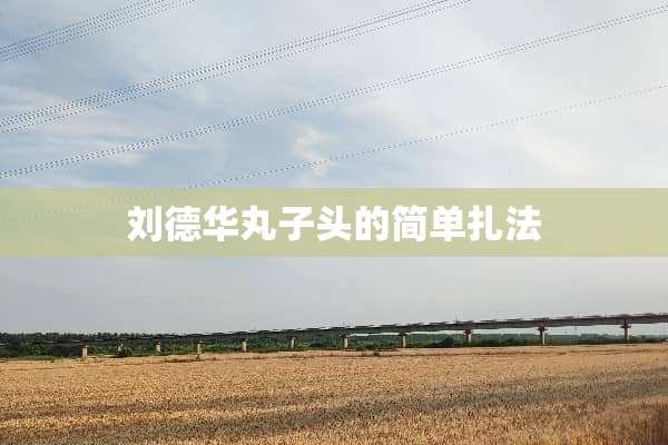 刘德华丸子头的简单扎法
