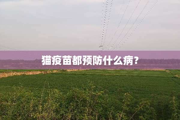 猫**都预防什么病？
