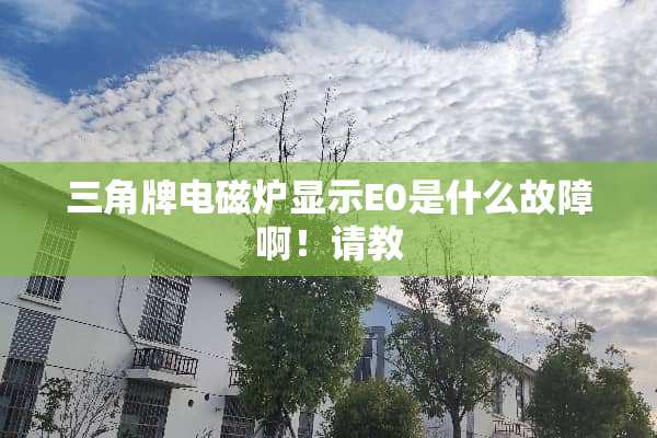 三角牌电磁炉显示E0是什么故障啊！请教