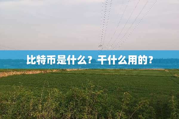 比特币是什么？干什么用的？