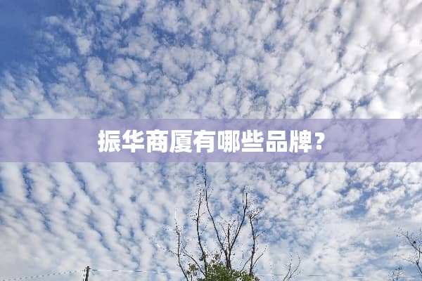 振华商厦有哪些品牌？