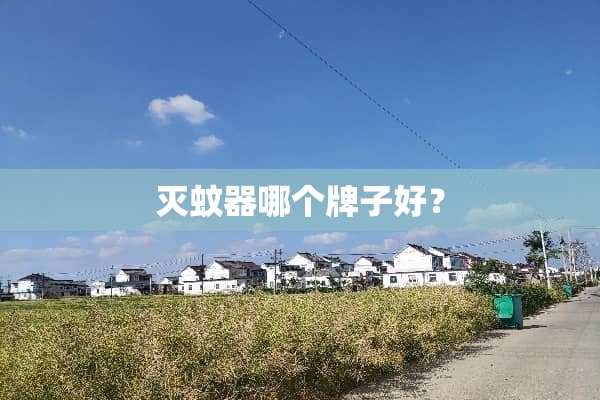 灭蚊器哪个牌子好？