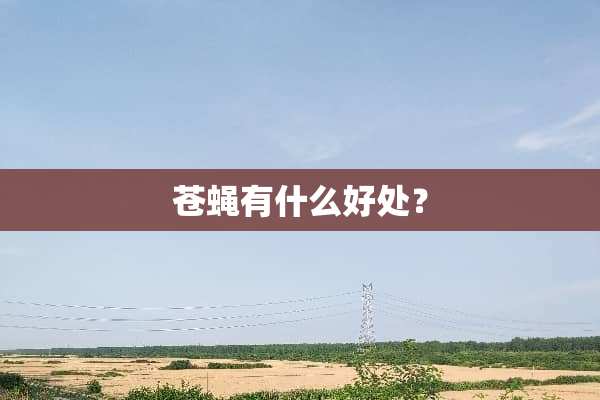 苍蝇有什么好处？