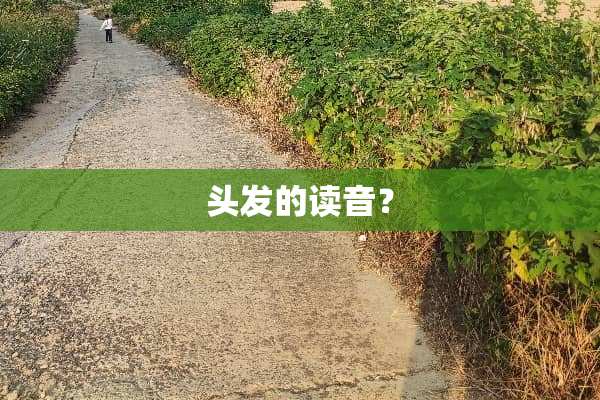 头发的读音？