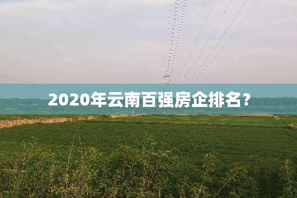 2020年云南百强房企排名？