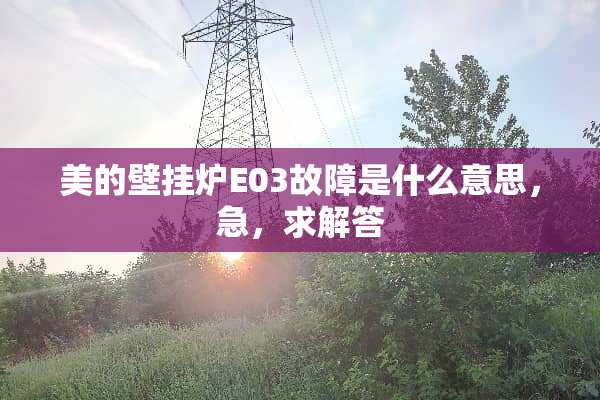 美的壁挂炉E03故障是什么意思，急，求解答