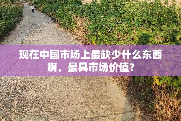 现在中国市场上最缺少什么东西啊，最具市场价值？