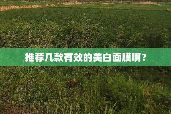 推荐几款有效的美白面膜啊？