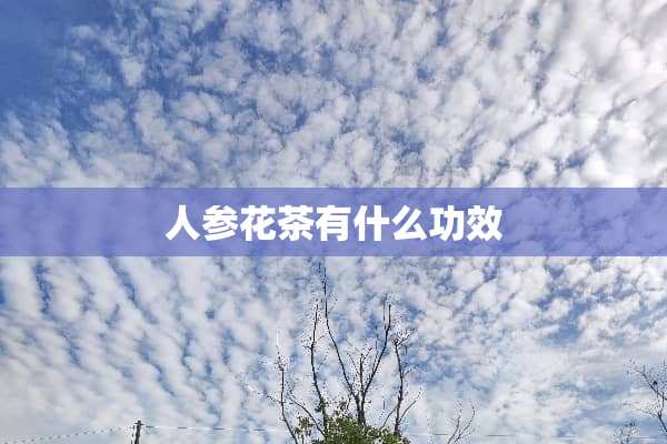 人参花茶有什么功效
