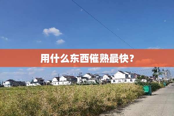 用什么东西催熟最快？