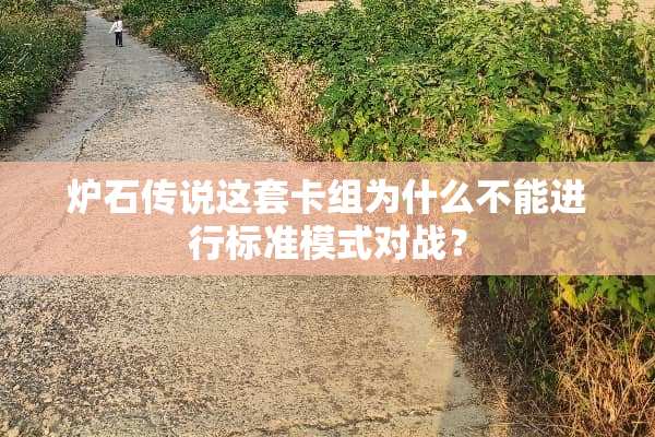 炉石传说这套卡组为什么不能进行标准模式对战？