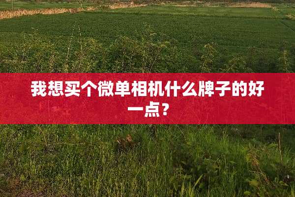 我想买个微单相机什么牌子的好一点？