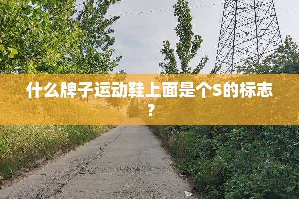什么牌子运动鞋上面是个S的标志？