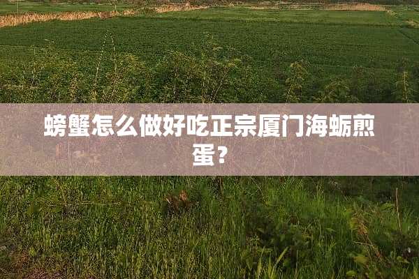 螃蟹怎么做好吃正宗厦门海蛎煎蛋？