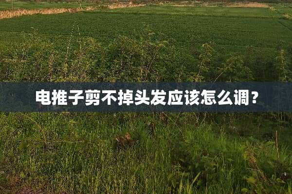电推子剪不掉头发应该怎么调？