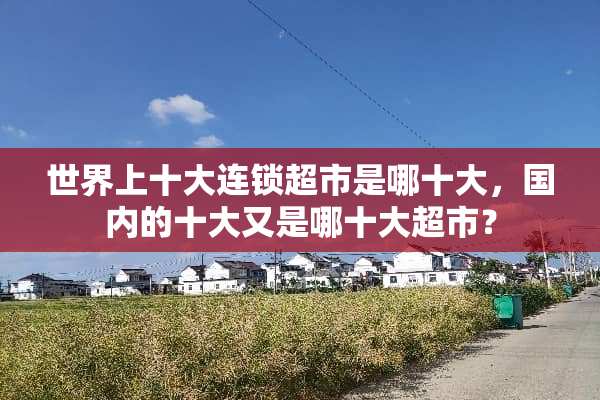 世界上十大连锁超市是哪十大，国内的十大又是哪十大超市？