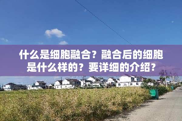 什么是细胞融合？融合后的细胞是什么样的？要详细的介绍？