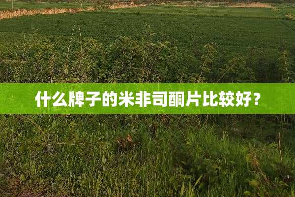 什么牌子的米非司酮片比较好？