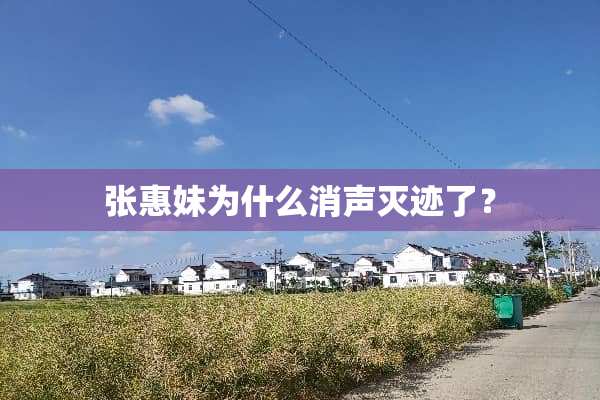 张惠妹为什么消声灭迹了？
