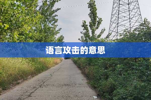 语言攻击的意思