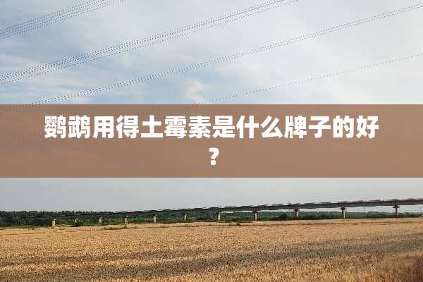 鹦鹉用得土霉素是什么牌子的好？