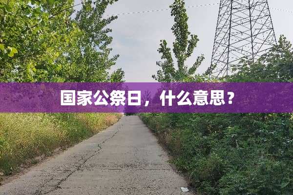 国家公祭日，什么意思？