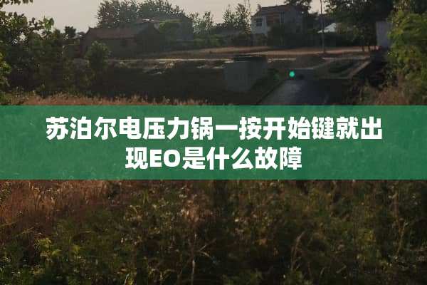 苏泊尔电压力锅一按开始键就出现EO是什么故障