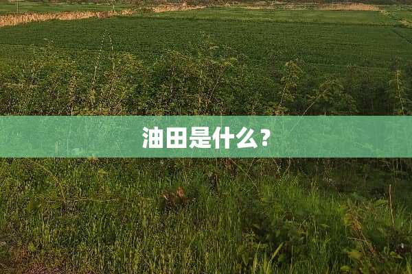 油田是什么？
