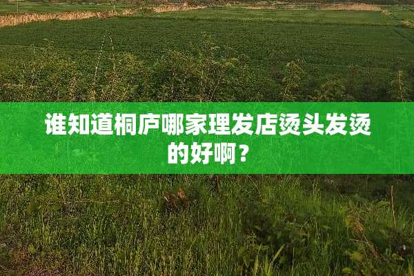 谁知道桐庐哪家理发店烫头发烫的好啊？
