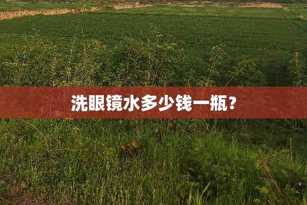 洗眼镜水多少钱一瓶？