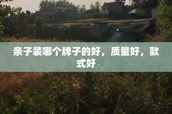 亲子装哪个牌子的好，质量好，款式好