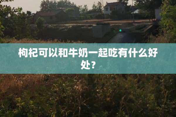 枸杞可以和牛奶一起吃有什么好处？