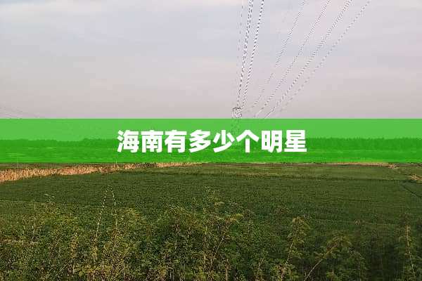 海南有多少个明星