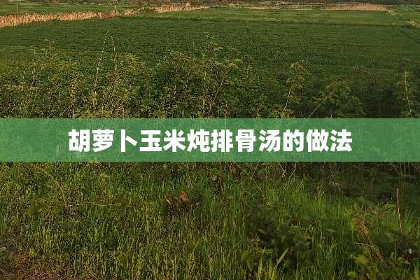 胡萝卜玉米炖排骨汤的做法