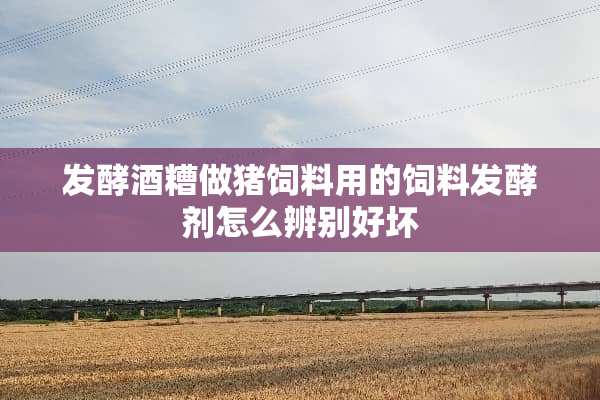 发酵酒糟做猪饲料用的饲料发酵剂怎么辨别好坏