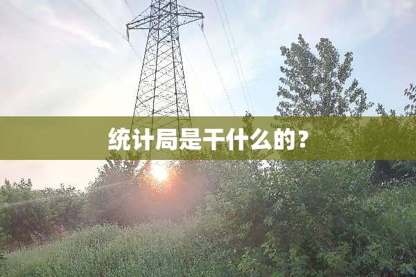 统计局是干什么的？