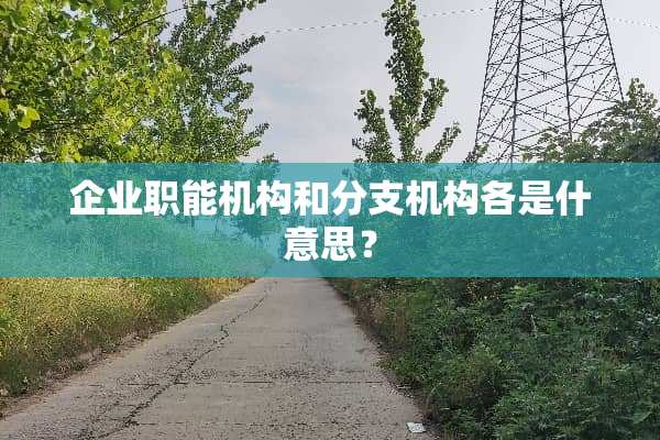 企业职能机构和分支机构各是什意思？