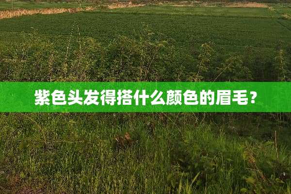 紫色头发得搭什么颜色的眉毛？