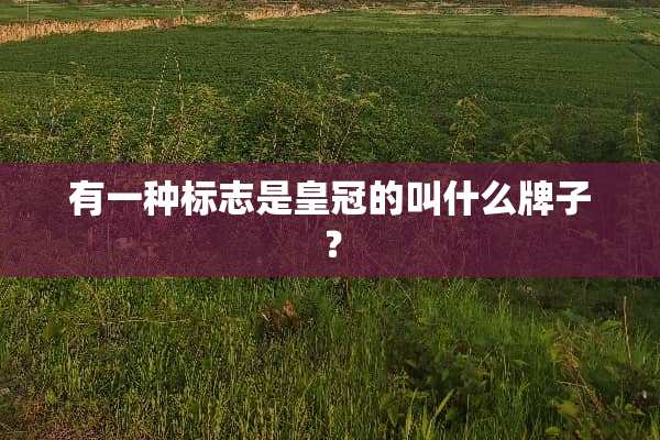 有一种标志是皇冠的叫什么牌子？